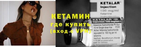 индика Надым