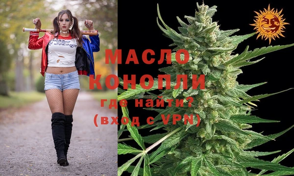 индика Надым