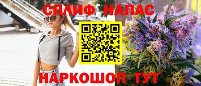 сатива Камышлов