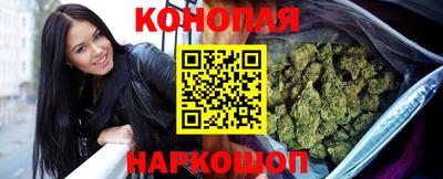 сатива Камышлов