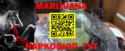 сатива Камышлов