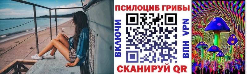где можно купить наркотик Острогожск Галлюциногенные грибы Psilocybe