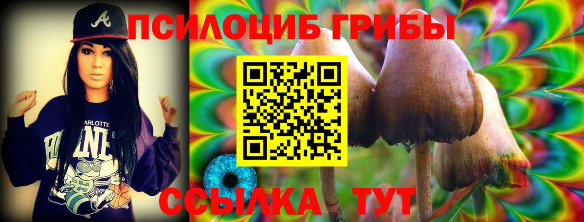 Псилоцибиновые грибы прущие грибы Острогожск